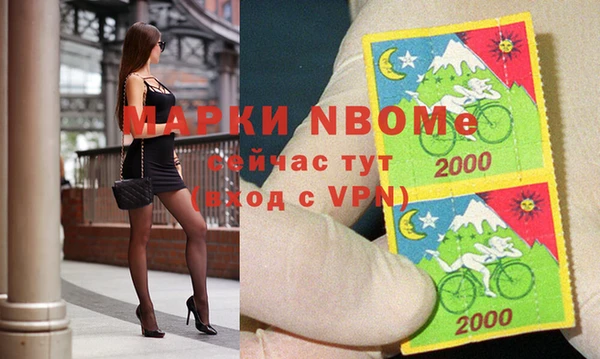 Альфа ПВП Белокуриха