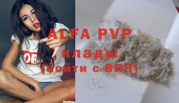 Альфа ПВП Белокуриха