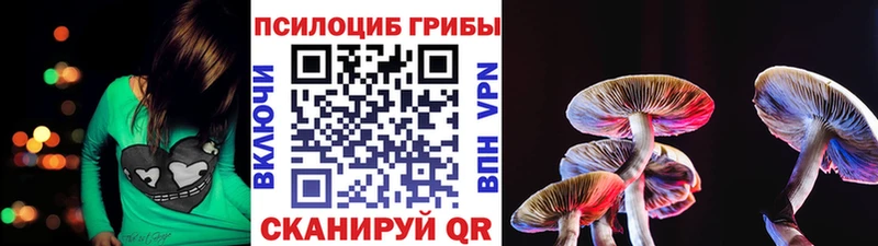 где купить наркоту  Кунгур  Псилоцибиновые грибы прущие грибы 